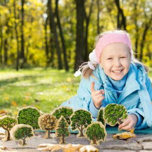 Australian Wooden Trees